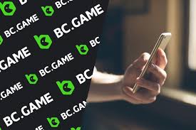 BC.Game IN Sign Up Process A Comprehensive Guide